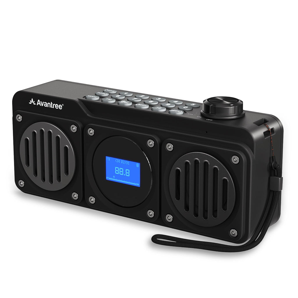 Portable FM Radio & Bluetooth Speaker B229