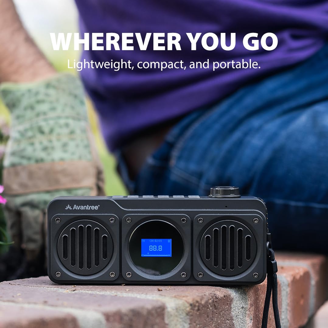 Portable FM Radio & Bluetooth Speaker B229