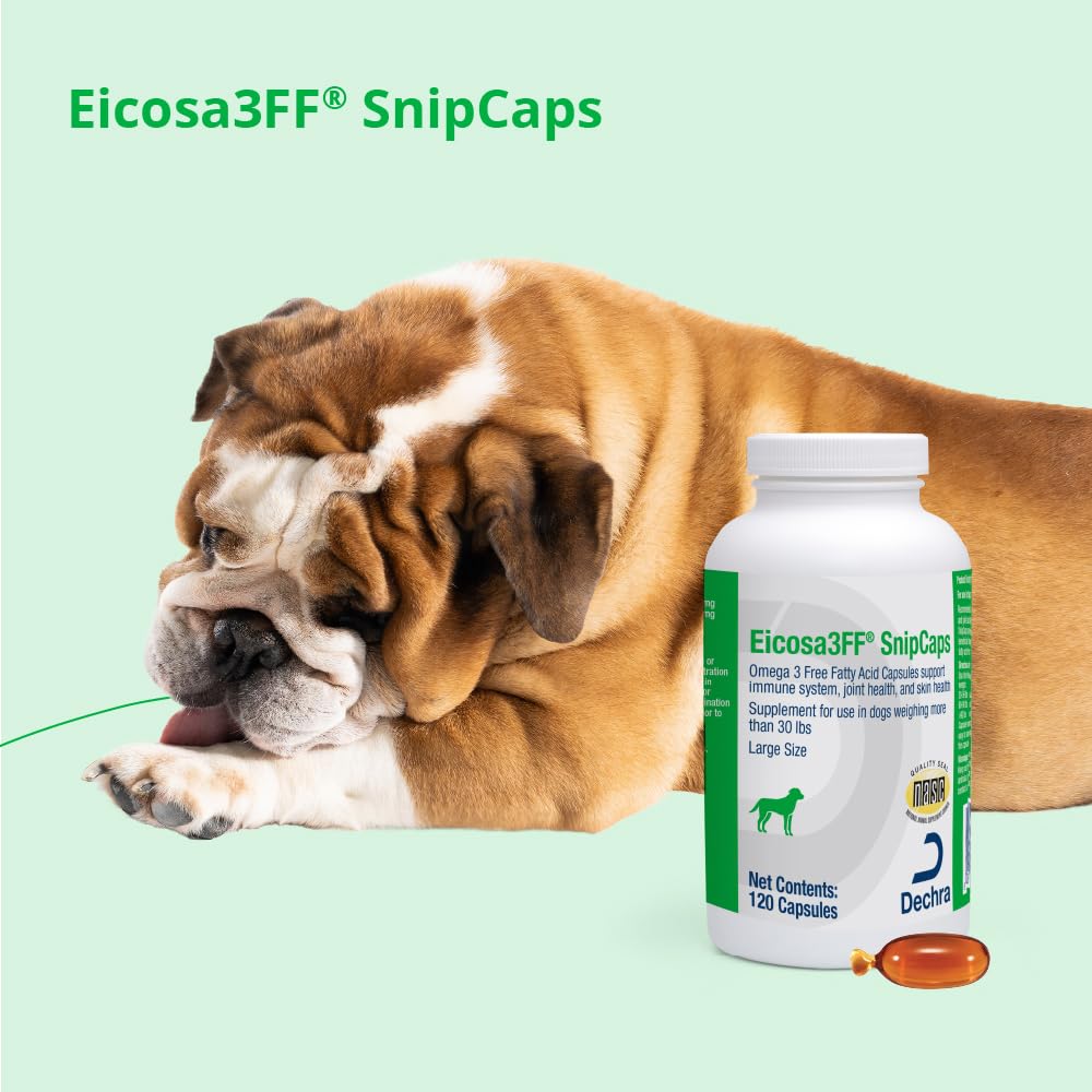 Omega 3 Free Fatty Acid Capsules 120 Capsules V147