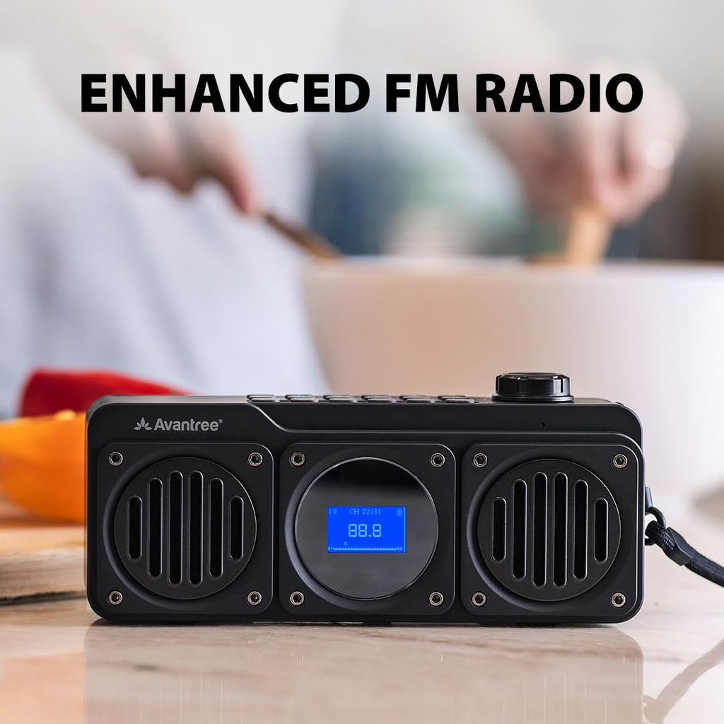 Portable FM Radio & Bluetooth Speaker B229