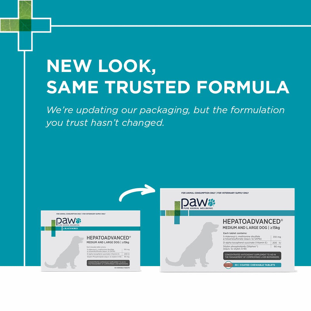 Chewable Tablet with S-Adenosyl-L-Methionine, Vitamin E and Siliphos, 30 Tablets N787762
