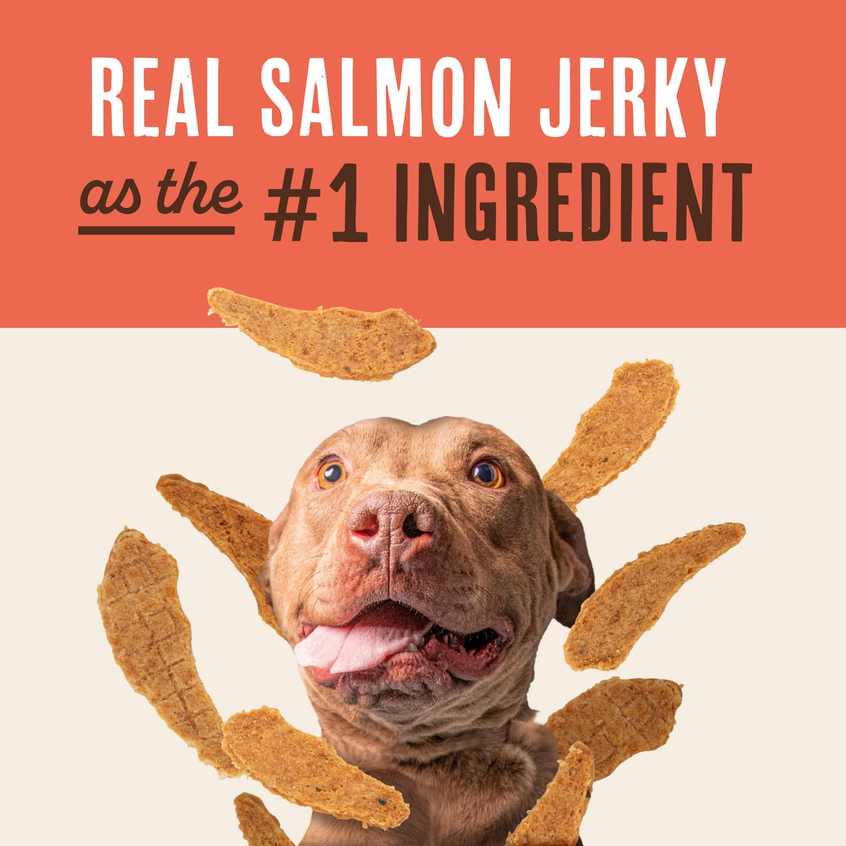 Salmon Jerky Dog Treats 12 oz T643