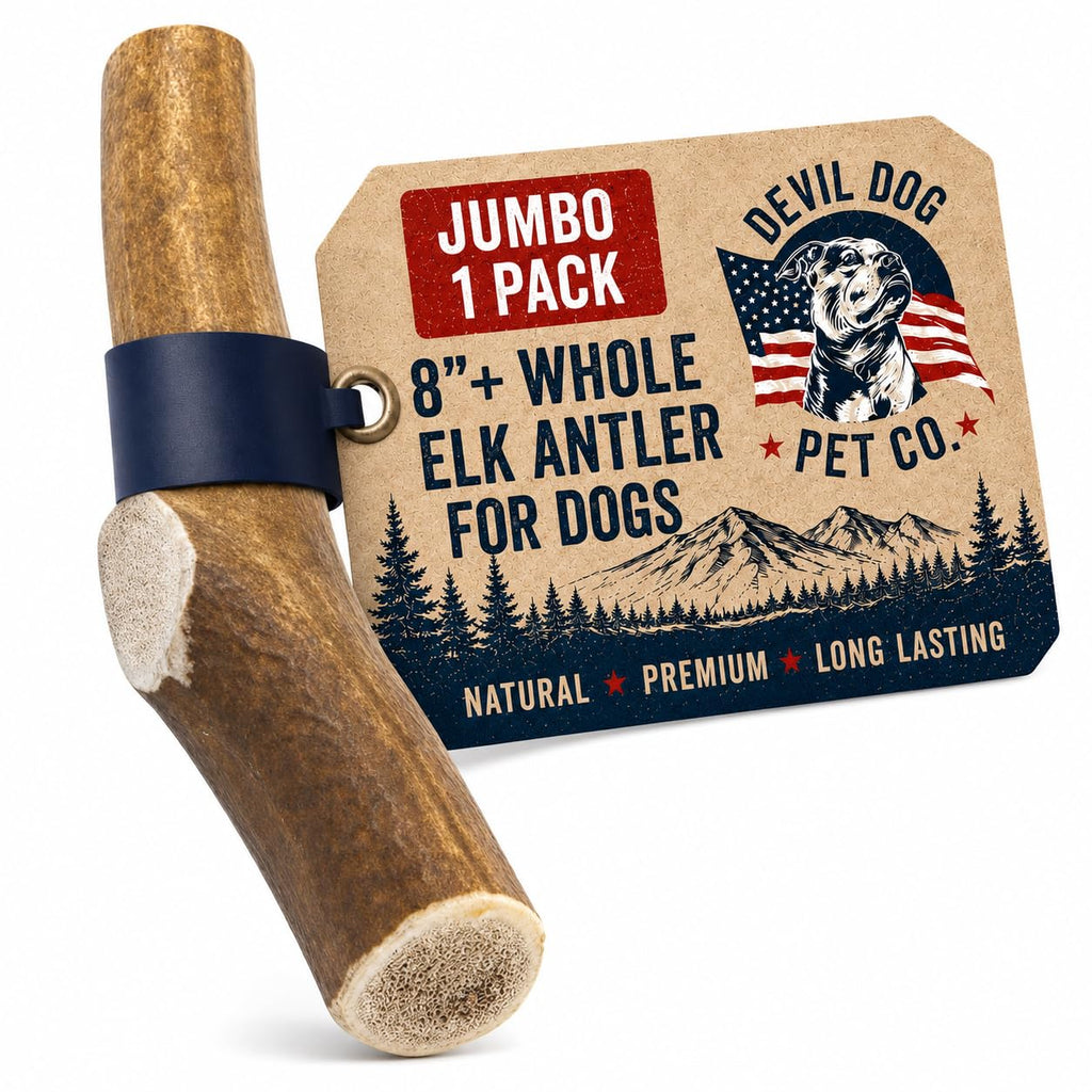 Whole Elk Antlers for Dogs Jumbo W30810