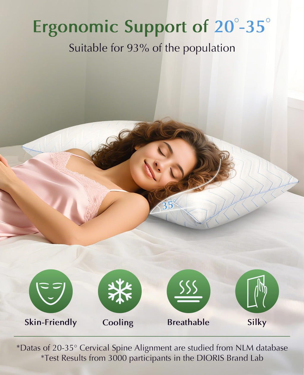 King Size Pillows Set of 2 Y2728