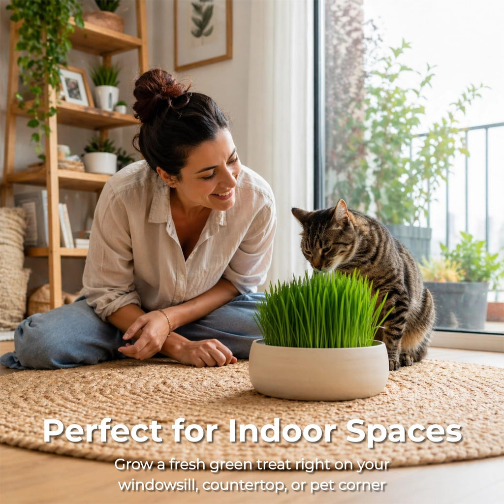 18oz Cat Grass Seeds H632