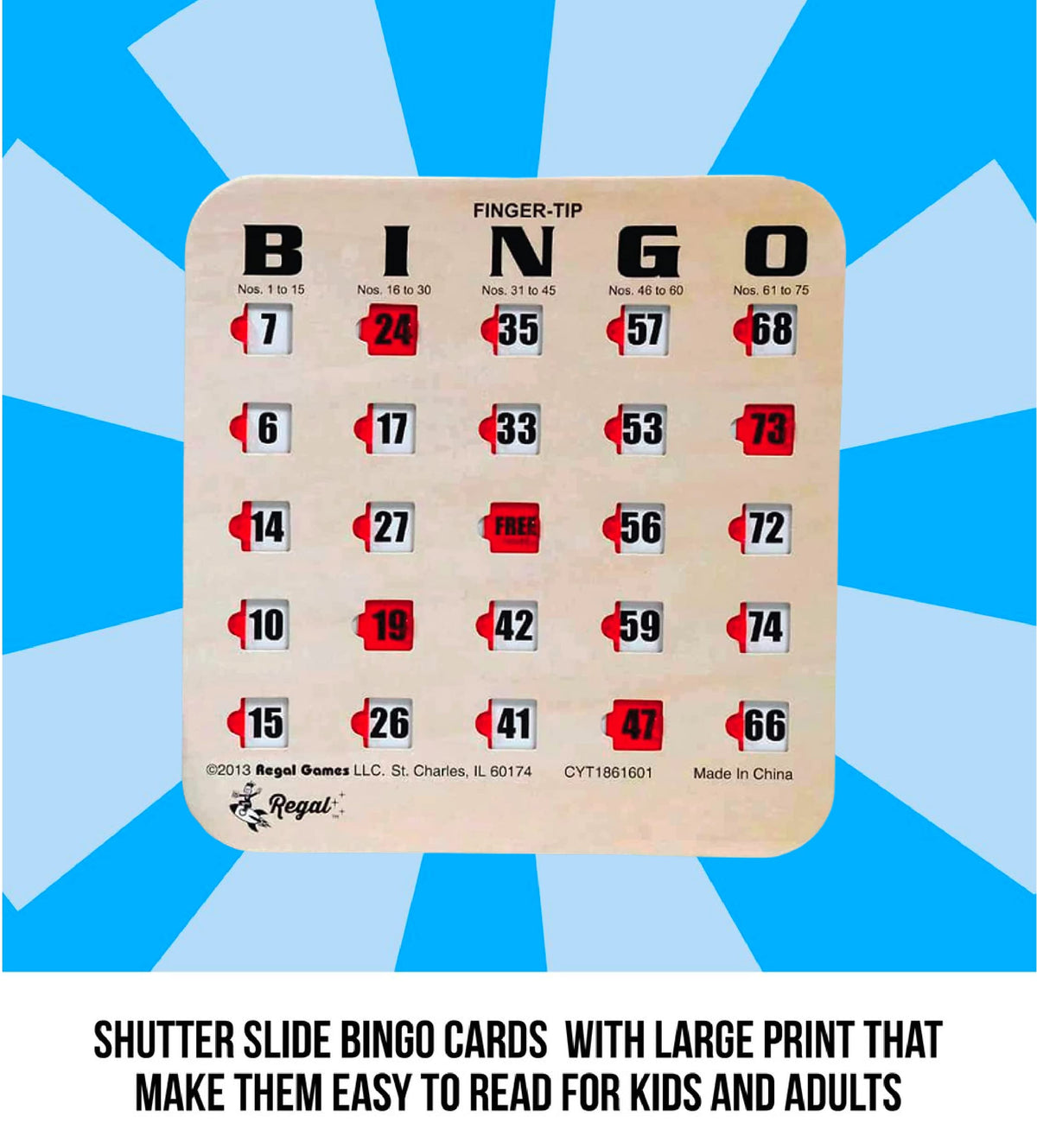Large Print Reusable Bingo Cards 100 Pack H648