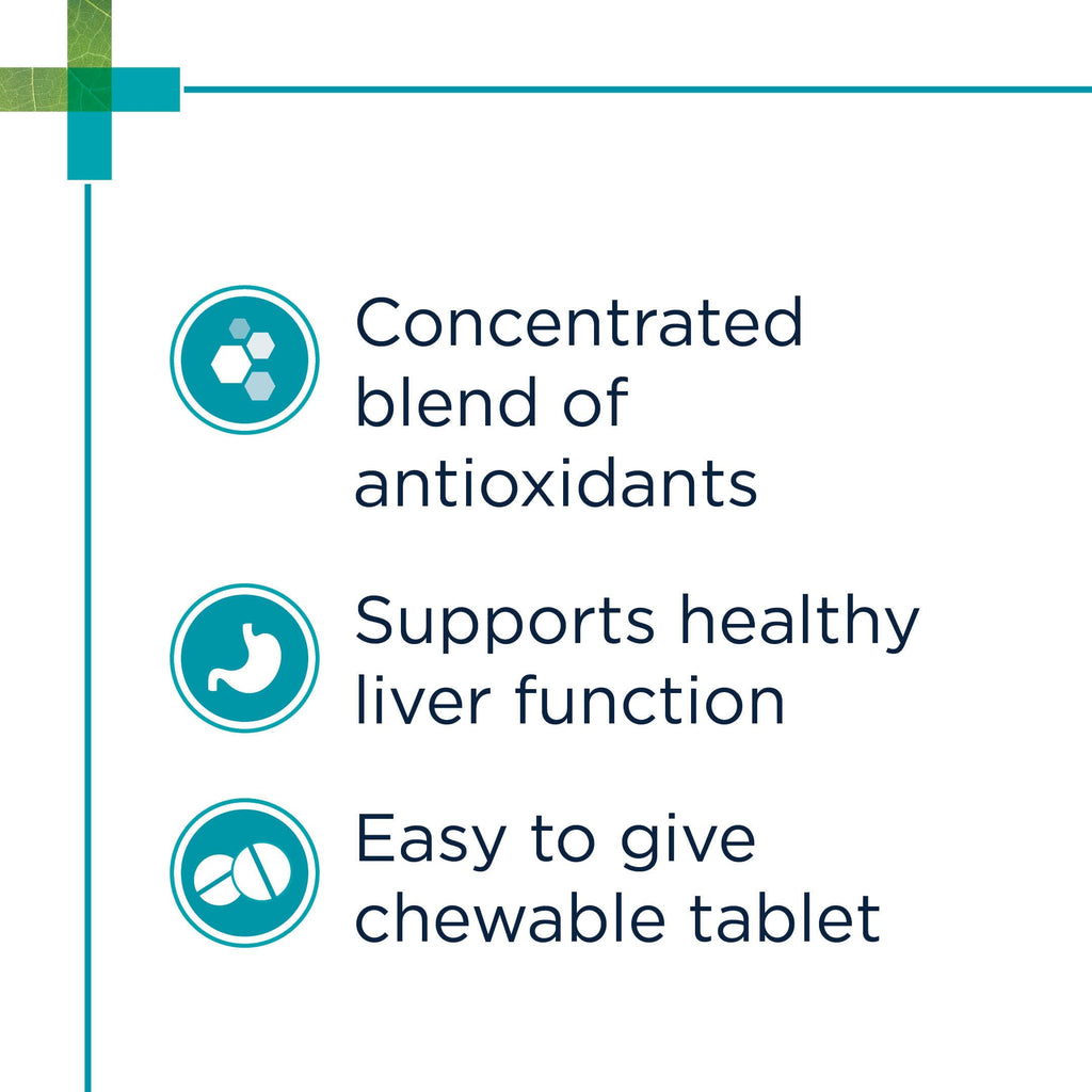 Chewable Tablet with S-Adenosyl-L-Methionine, Vitamin E and Siliphos, 30 Tablets N787762