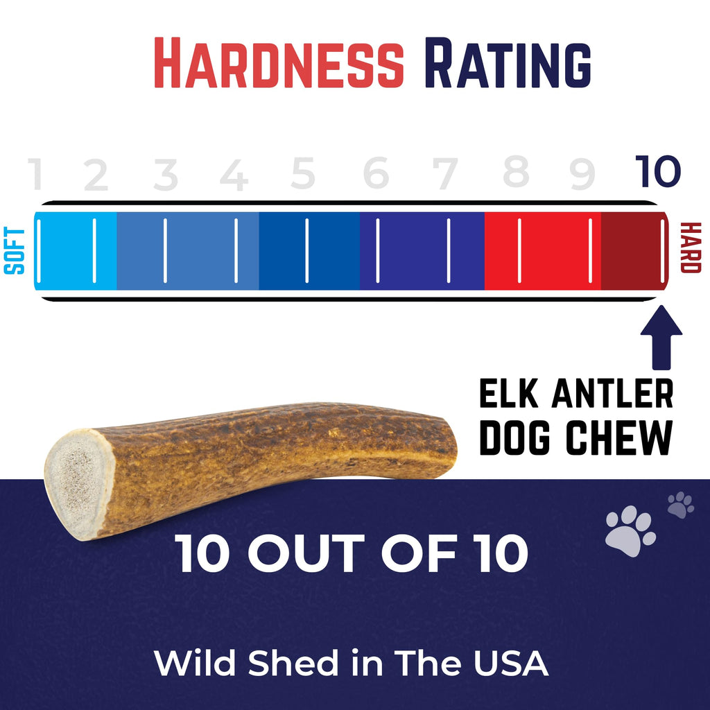Whole Elk Antlers for Dogs Jumbo W30810