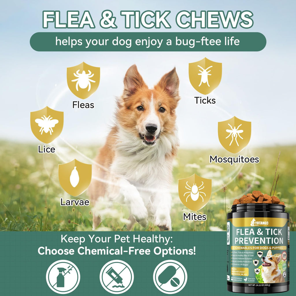 Flea and Tick Prevention for Dogs Chewable 200 Ct C251