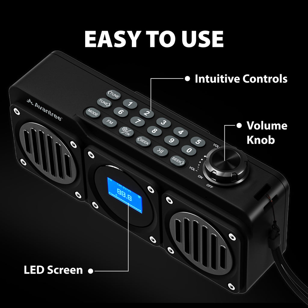 Portable FM Radio & Bluetooth Speaker B229