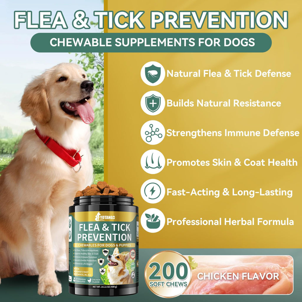 Flea and Tick Prevention for Dogs Chewable 200 Ct C251
