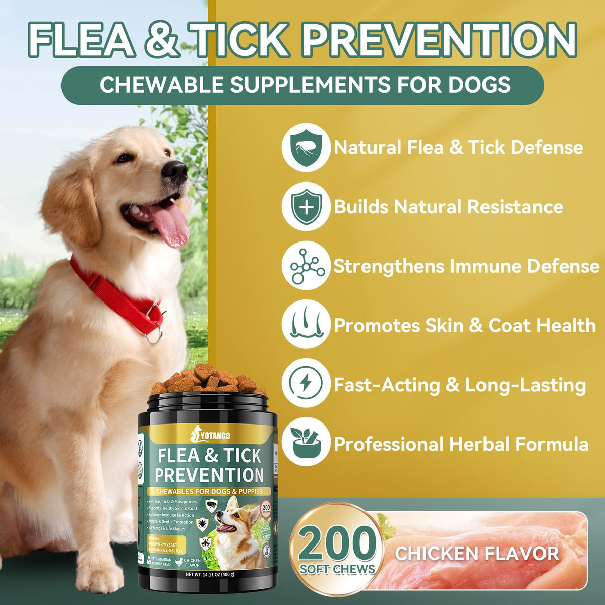 Flea and Tick Prevention for Dogs Chewable 200 Ct C251