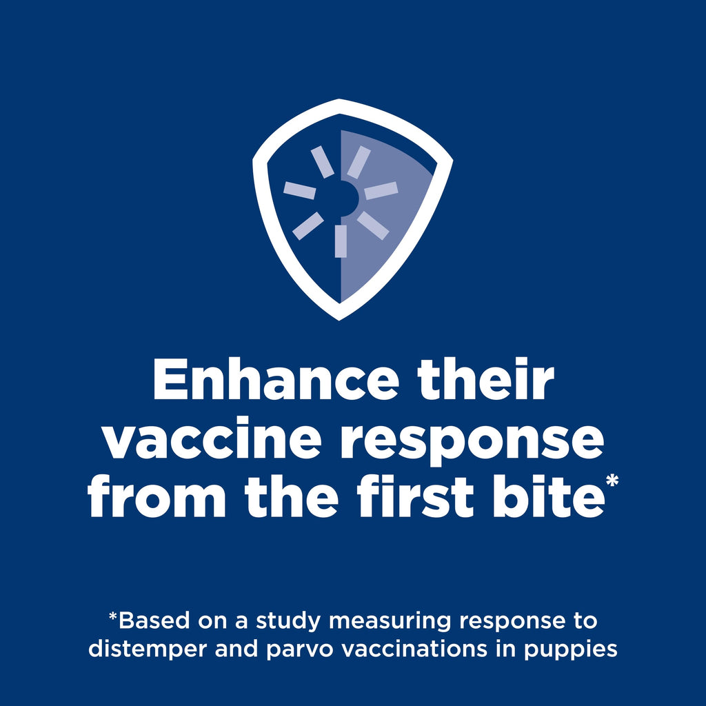 Dry Dog Food B6896
