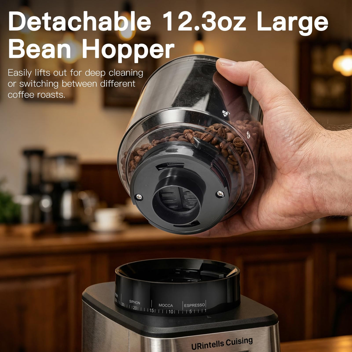 Silver Conical Burr Coffee Grinder T5299