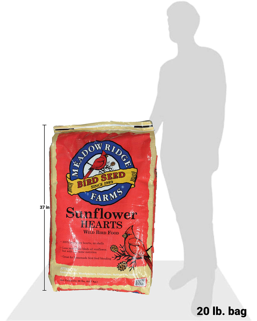 Wild Bird Seed 20-Pound Bag T878782