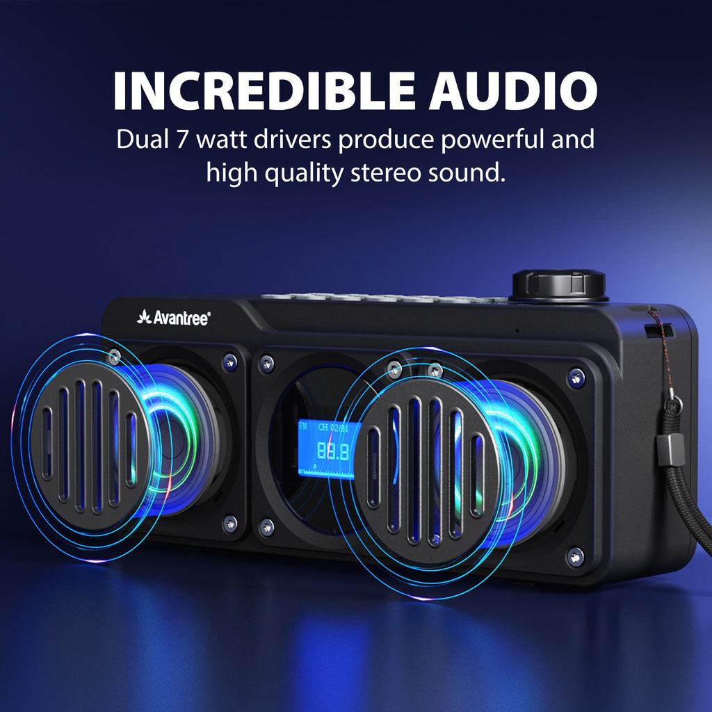 Portable FM Radio & Bluetooth Speaker B229