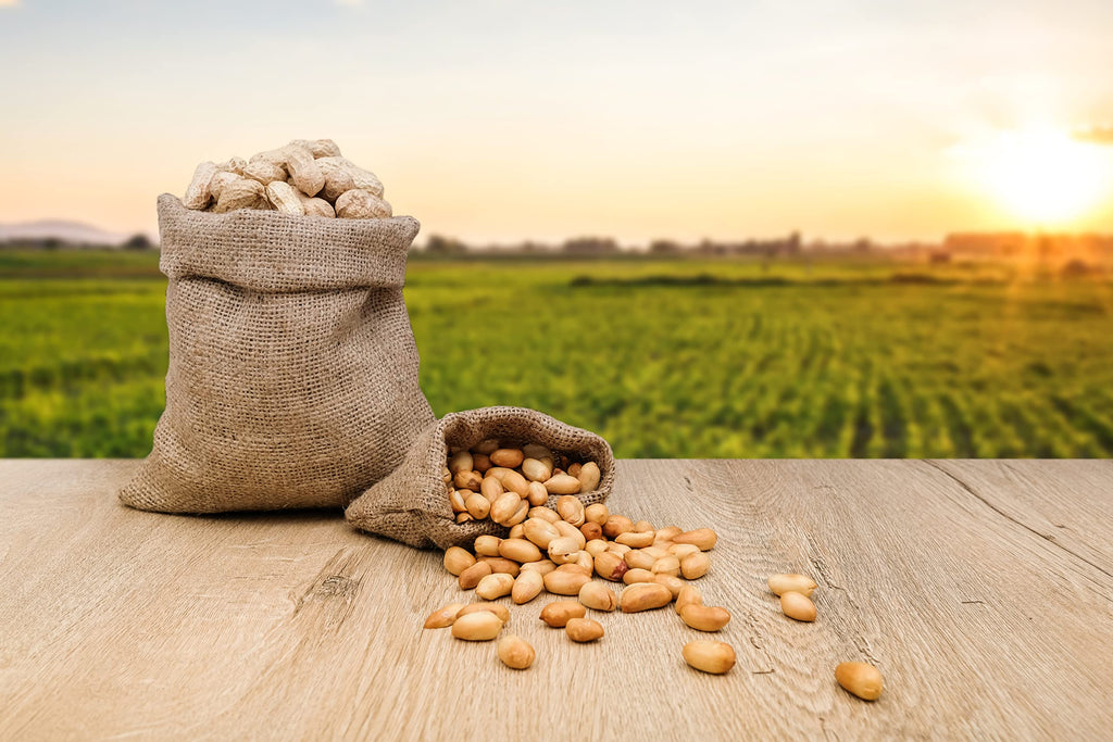 Raw Peanuts in Shell 2 Pound Bag (3-Pack) U287