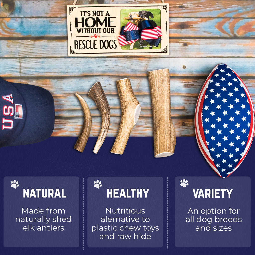 Whole Elk Antlers for Dogs Jumbo W30810