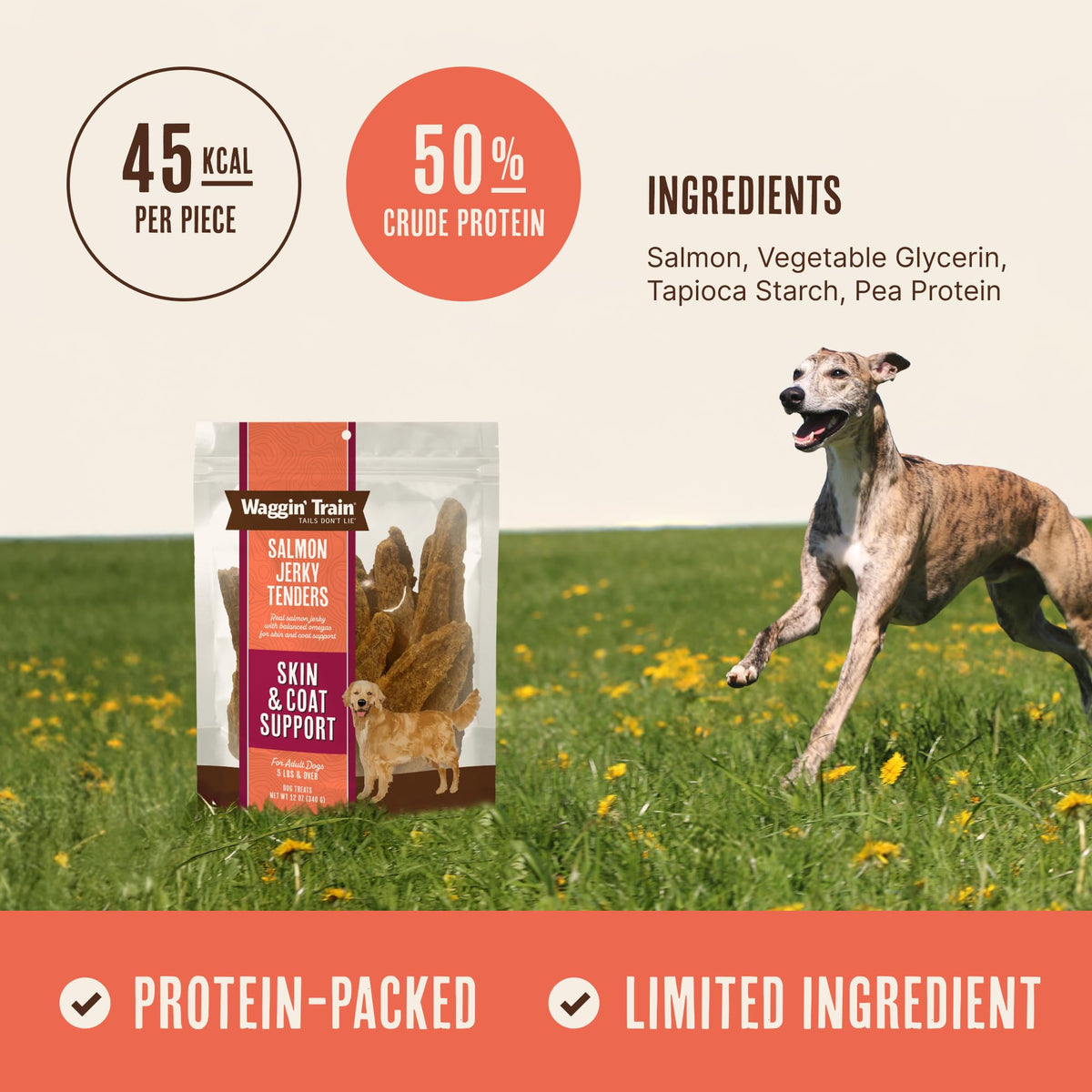 Salmon Jerky Dog Treats 12 oz T643