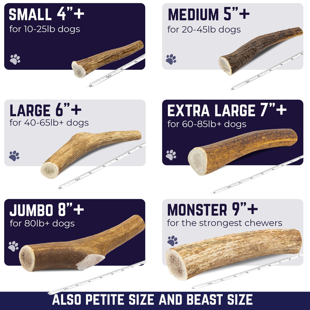 Whole Elk Antlers for Dogs Jumbo W30810