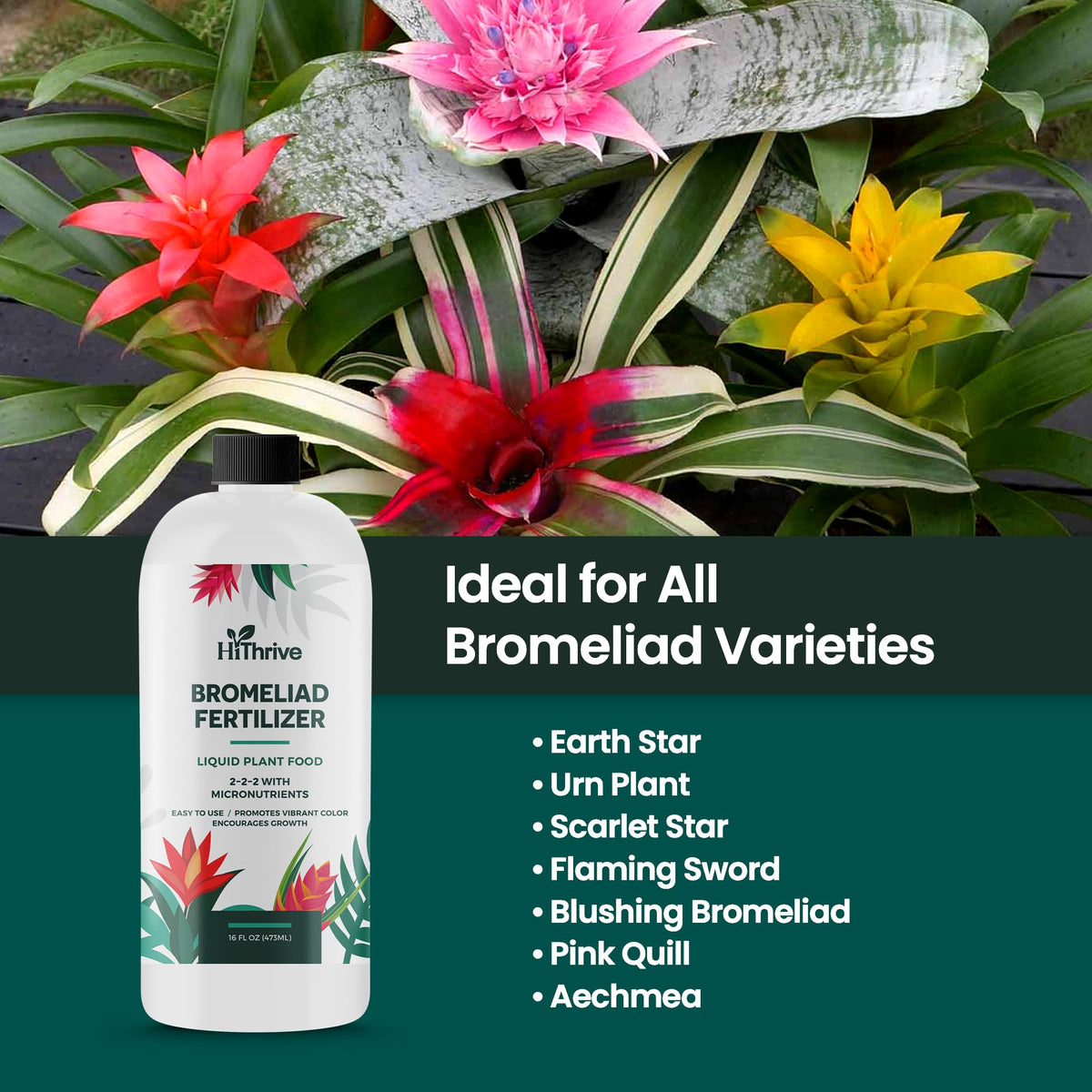 16oz Bromeliad Fertilizer J8120