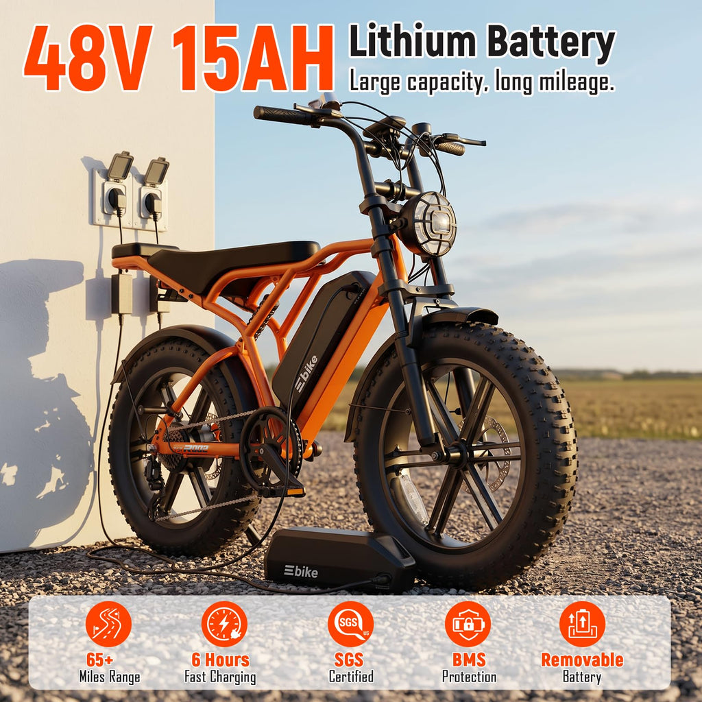 Electric Bike 2000W Peak Motor 48V Removable Battery W519