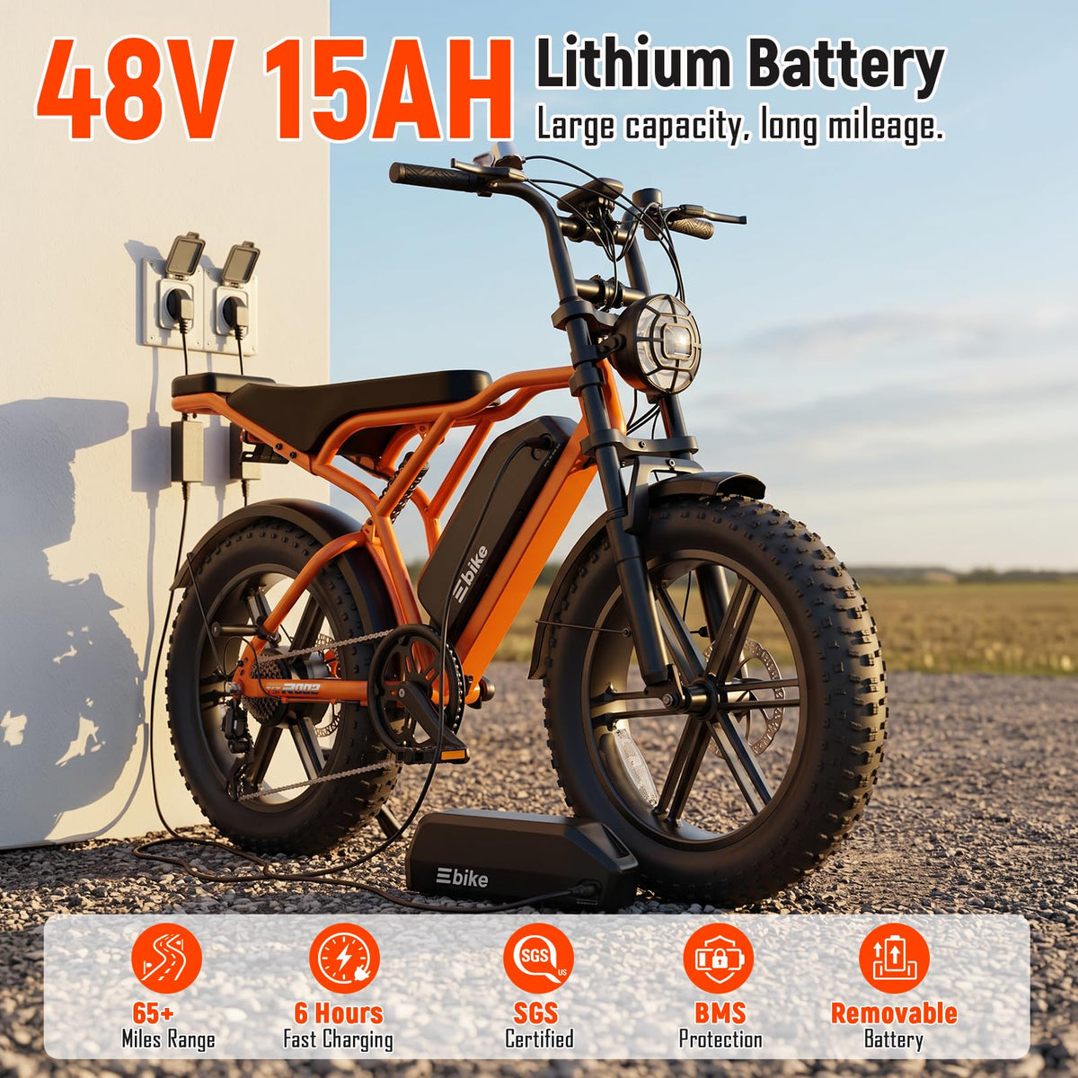 Electric Bike 2000W Peak Motor 48V Removable Battery W519