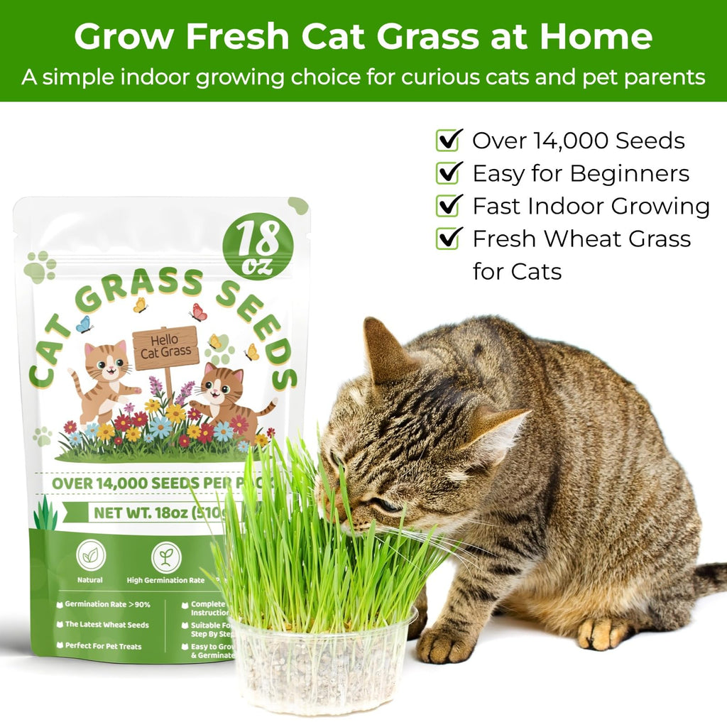 18oz Cat Grass Seeds H632