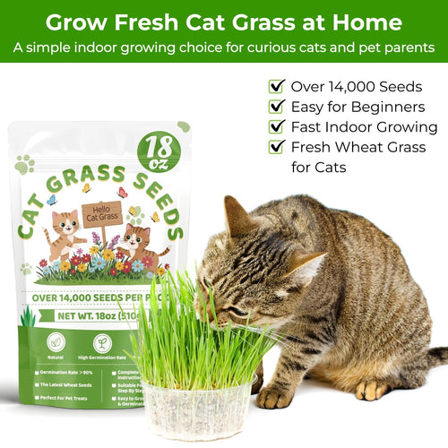 18oz Cat Grass Seeds H632