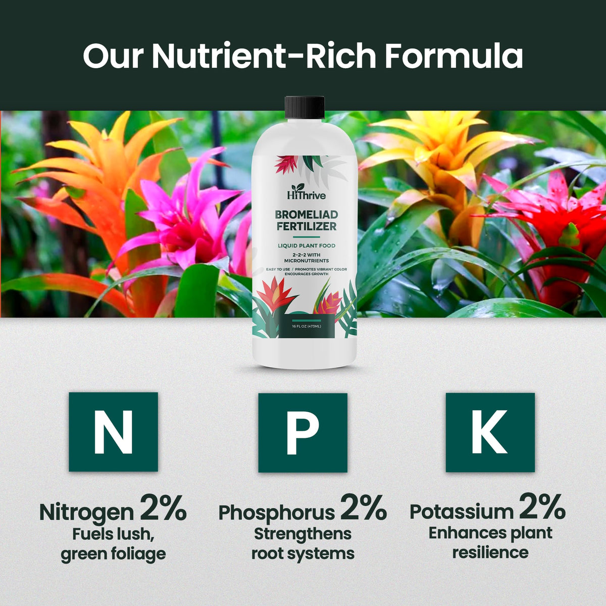 16oz Bromeliad Fertilizer J8120