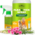 Natural Flea and Tick Home Spray A600