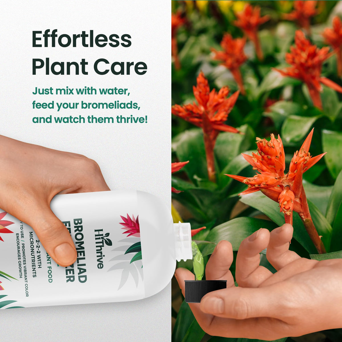 16oz Bromeliad Fertilizer J8120