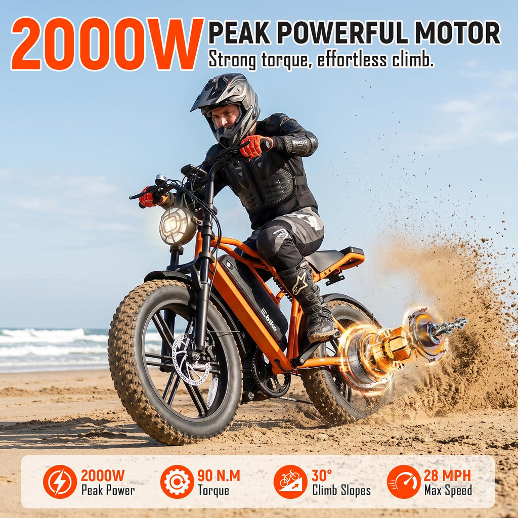 Electric Bike 2000W Peak Motor 48V Removable Battery W519