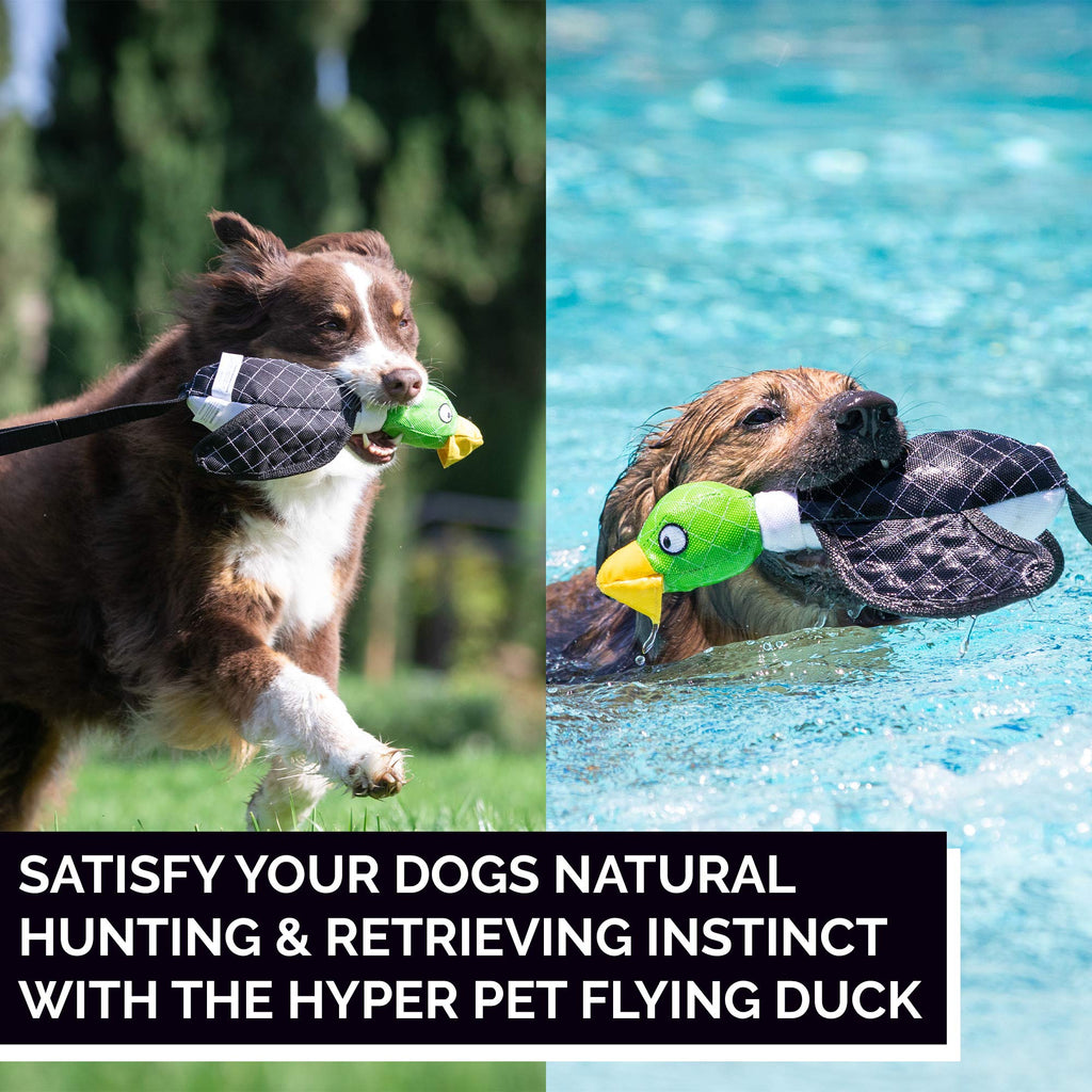 Large Duck Slingshot Fetching Dog Toy G1413