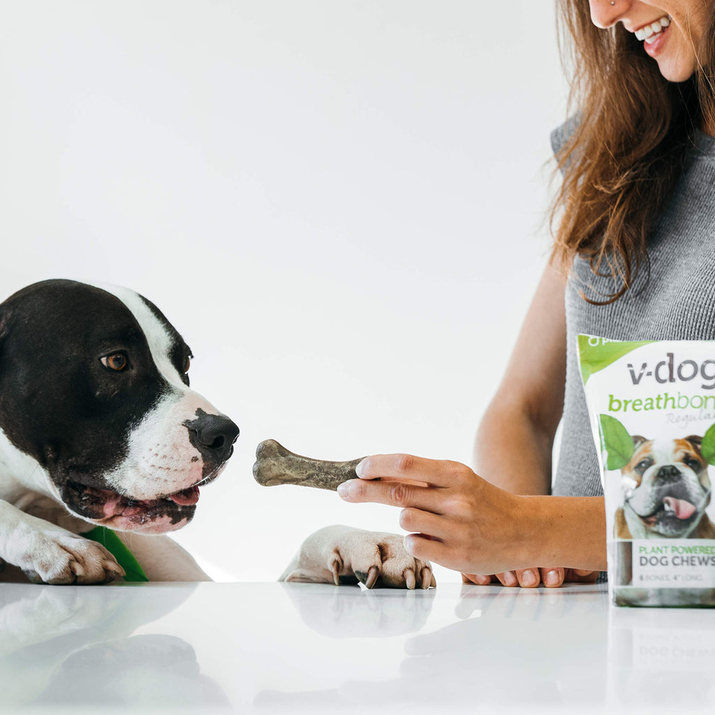 Vegan Dental Dog Bones 8 Ounces I74663