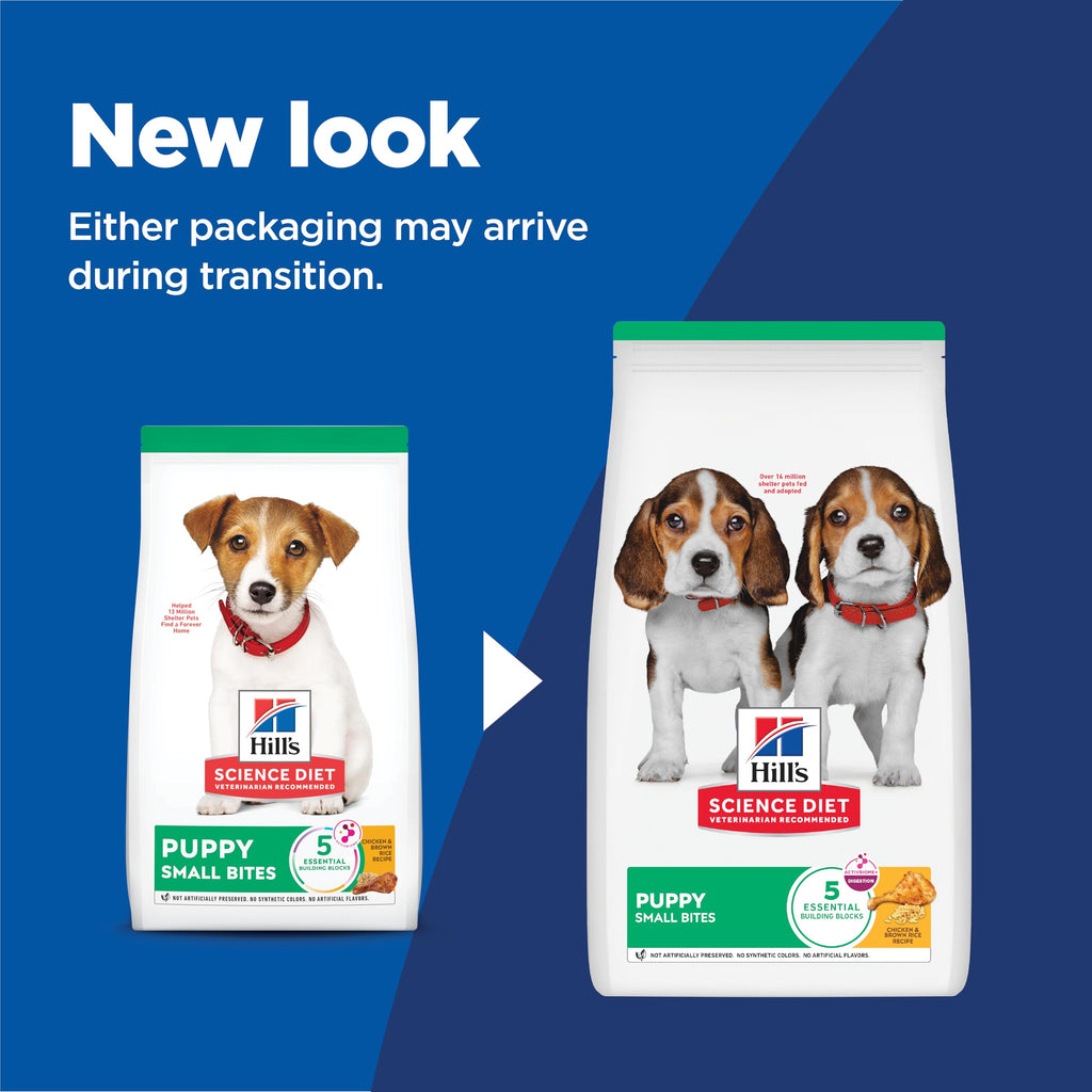 Dry Dog Food B6896