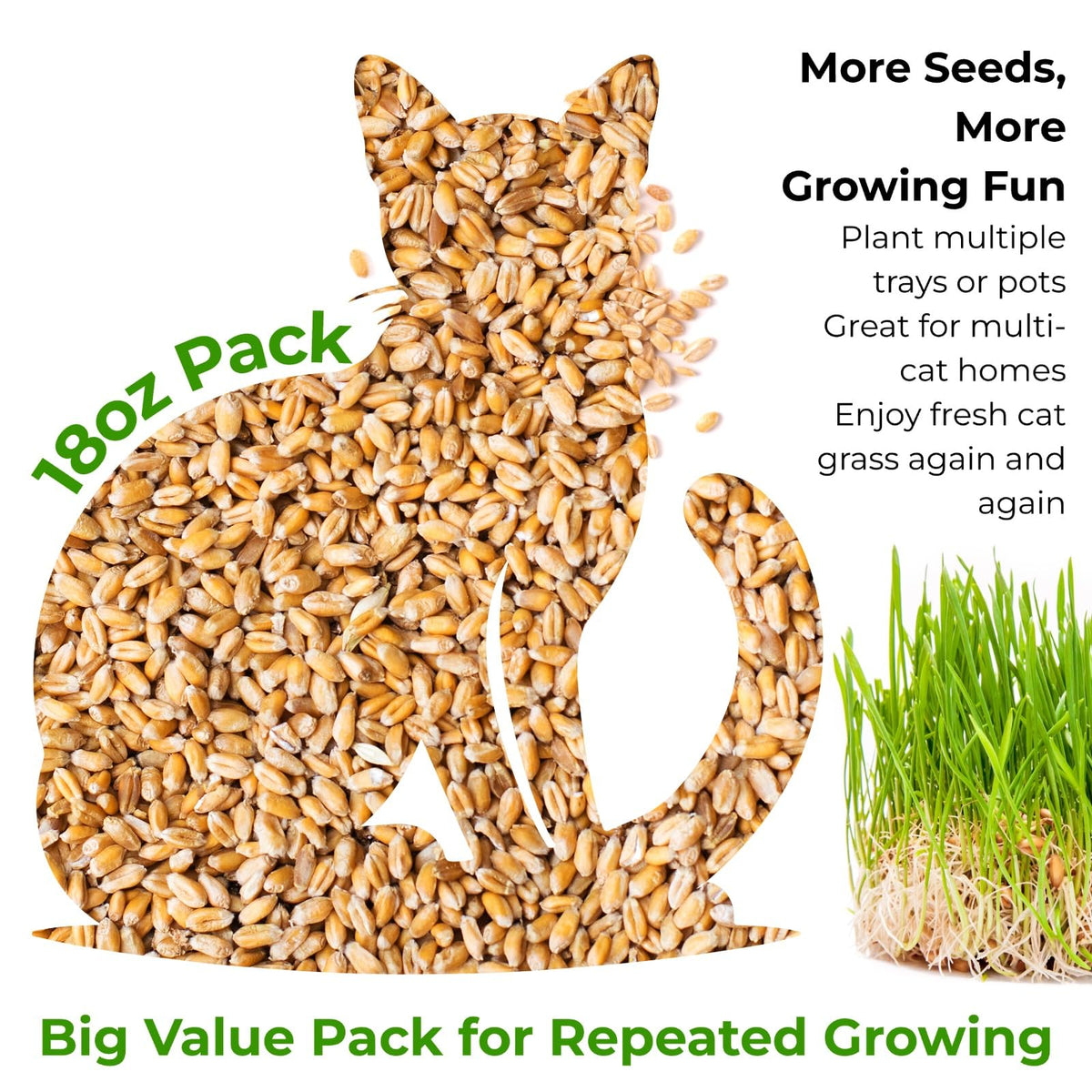 18oz Cat Grass Seeds H632