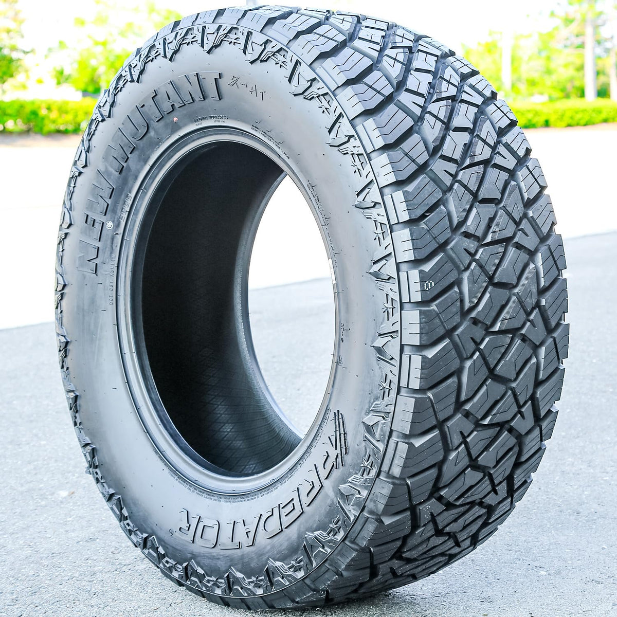 All Terrain 275/55R20 117T XL Light Truck Tire J15938