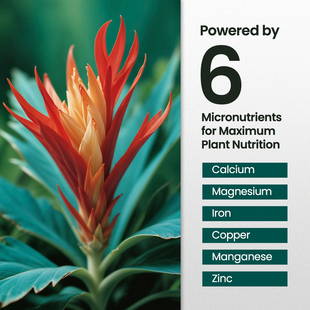 16oz Bromeliad Fertilizer J8120