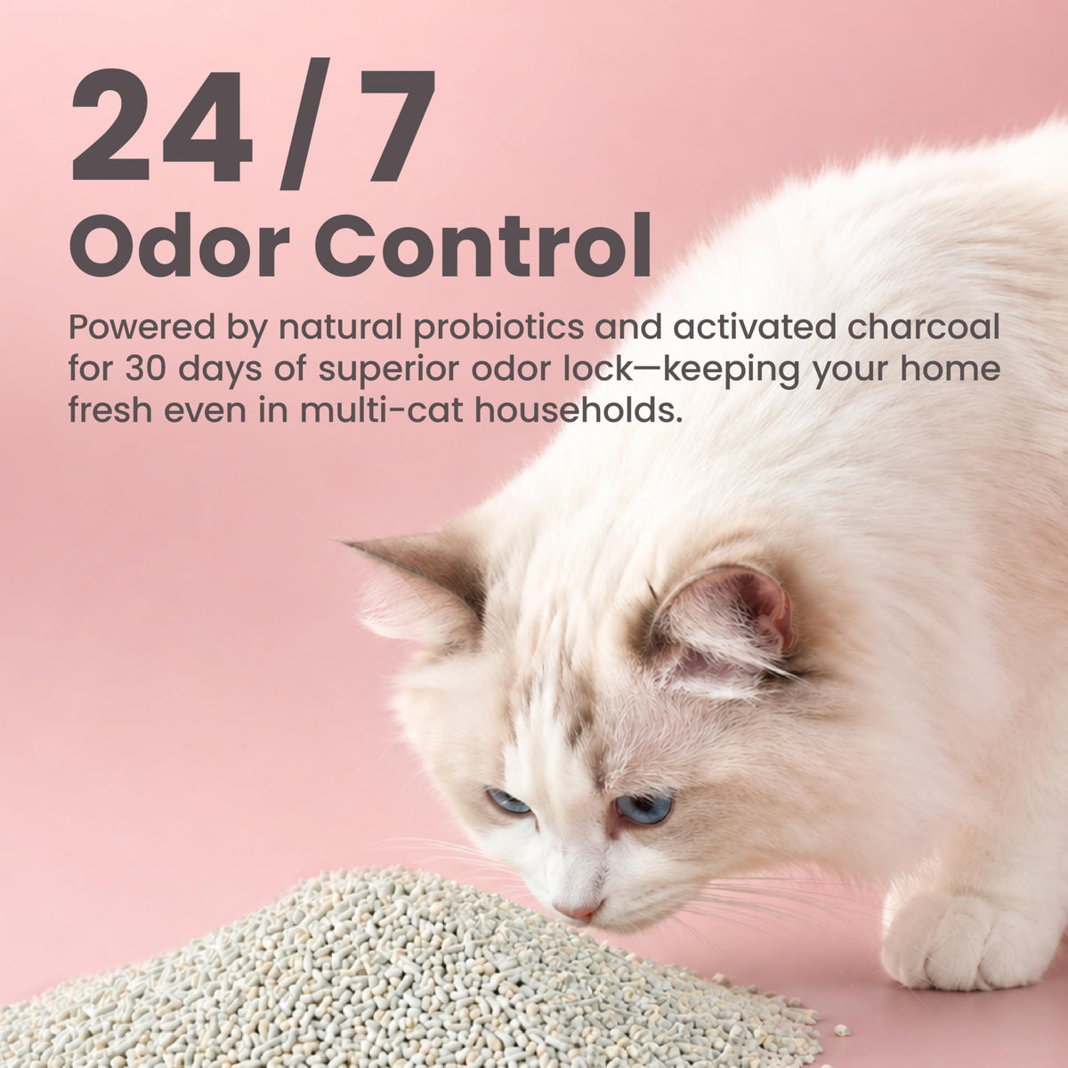 Tofu Cat Litter 18lb U469