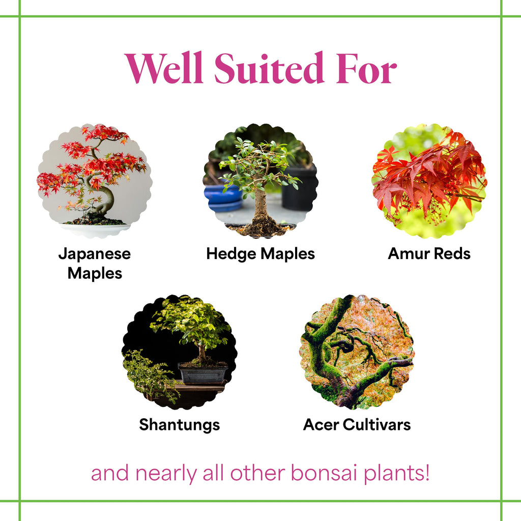 Organic Liquid Bonsai Fertilizer 8 oz Concentrate R753