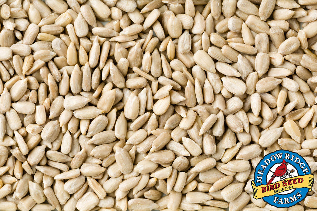 Wild Bird Seed 20-Pound Bag T878782