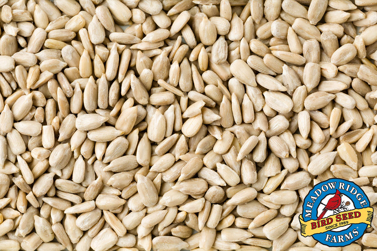 Wild Bird Seed 20-Pound Bag T878782