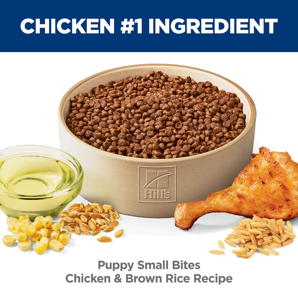 Dry Dog Food B6896